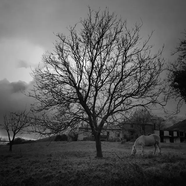 EXPOSITION PHOTOS_Saint-Paul-de-Vence