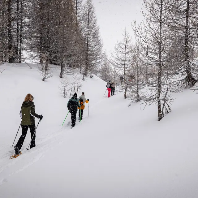 Sentier n°11 - Chemin de bois noir_Vars