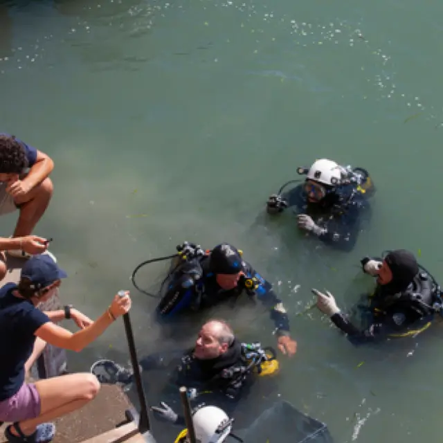 Bilan des fouilles_Arles