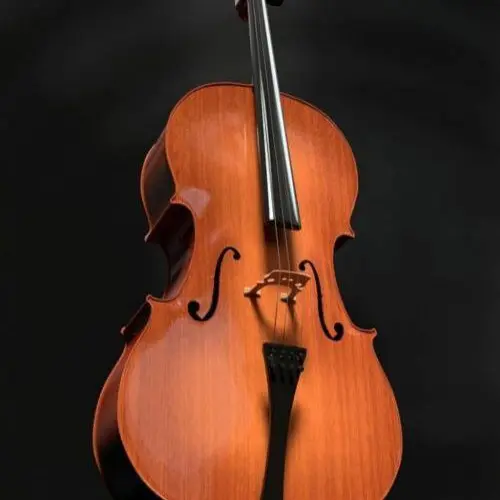 Concert du nouvel an - Musique classique | Croisée des arts_Saint-Maximin-la-Sainte-Baume