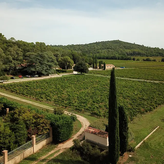 Château Gasqui à Gonfaron