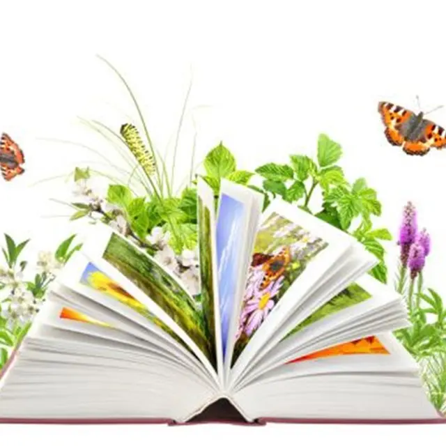 Histoires de Printemps à la bibliothèque municipale_La Terrasse