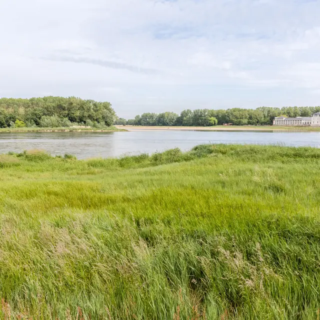 Bords de la Maine