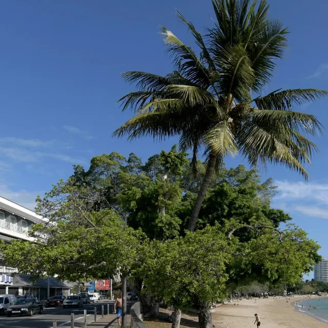 Océan House Nouméa_Nouméa