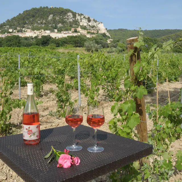 Domaine de Cabasse Séguret