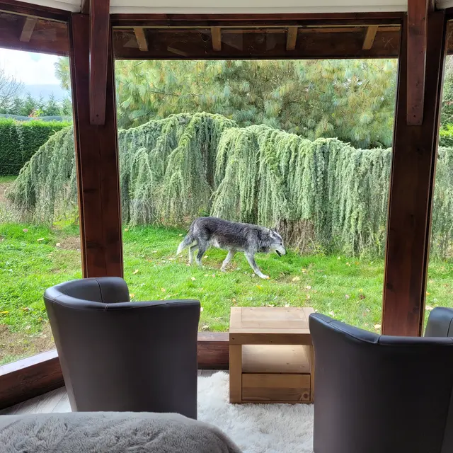 Chambre au cœur du parc