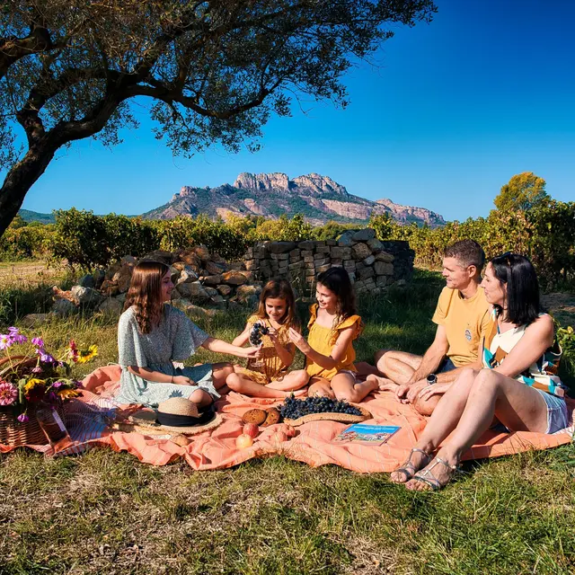 Rallye Terroir et Vignes_Roquebrune-sur-Argens