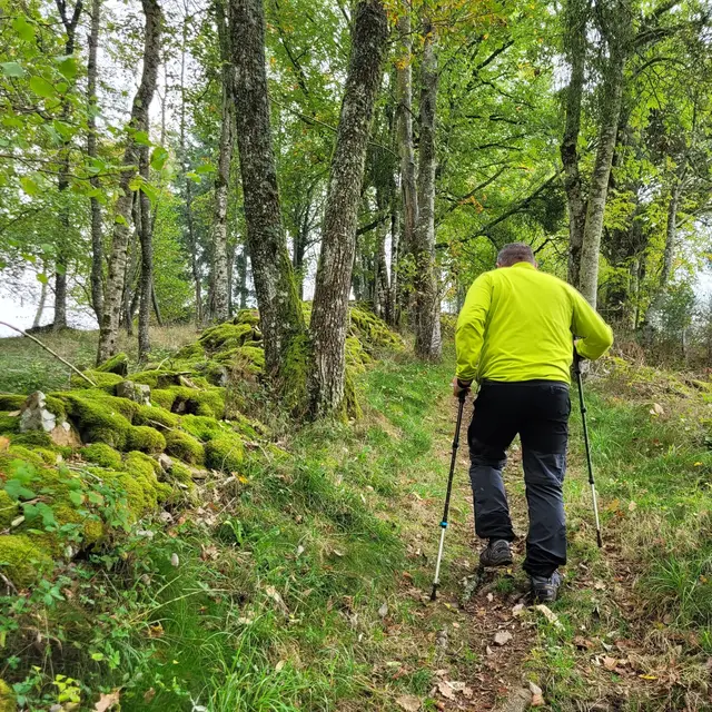 Randonnée organisée_Aveizieux