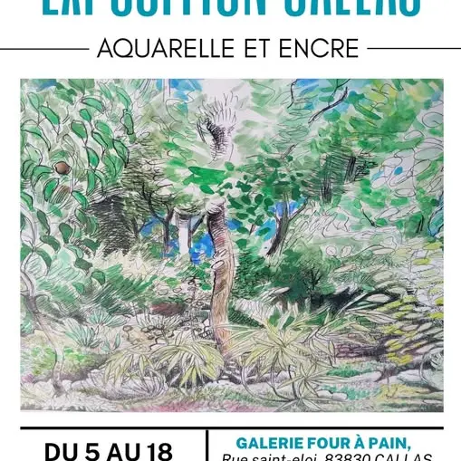 exposition Aquarelle et encre_Callas
