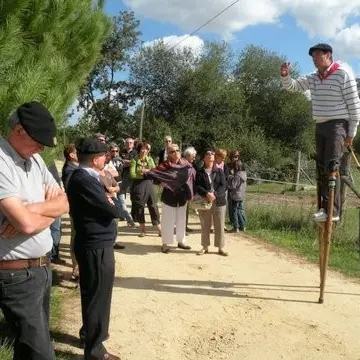Ganaderia