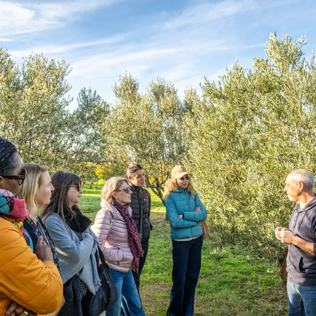 Dégustation d'huile d'olive à la boutique Les 3 Souquets_Séguret