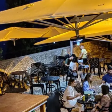 Le Cactus (ze) | Provence-Alpes-Cte d'Azur Tourism