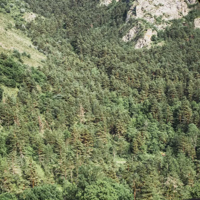 La maison de la Pia_Tende