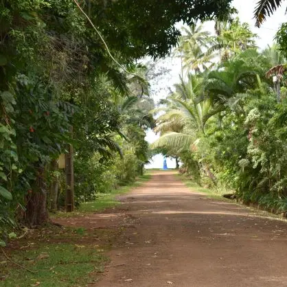 Tribu de Goro