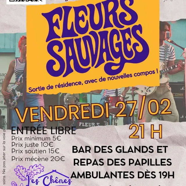 Affiche concert 27 02 2026