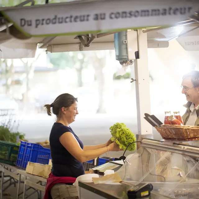 Marché des producteurs de Saint-Martin-de-Crau_Saint-Martin-de-Crau