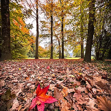Semaine gourmande : déco d'automne goumande_Le Chambon-sur-Lignon