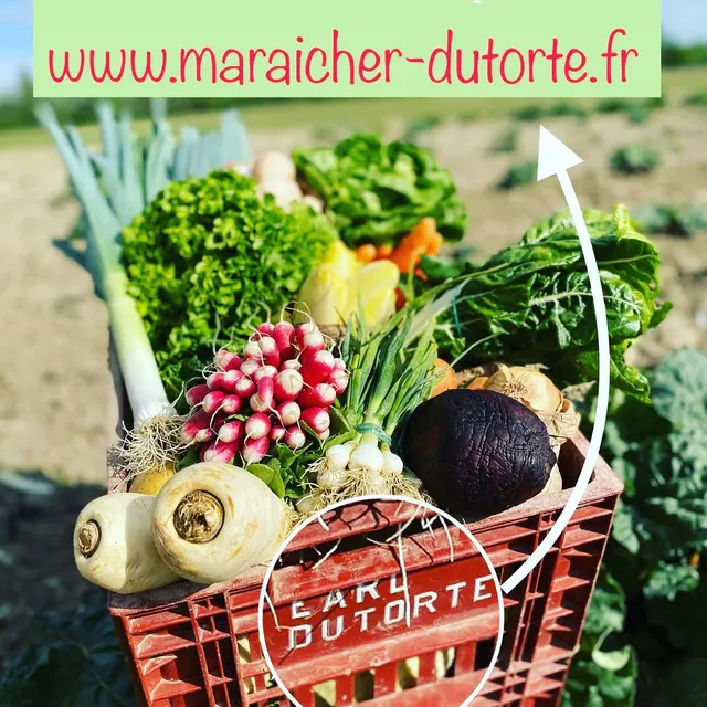 Maraîcher Dutorte
