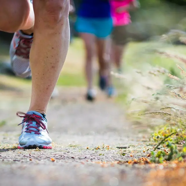 Urban Trail de Pierrefeu du Var