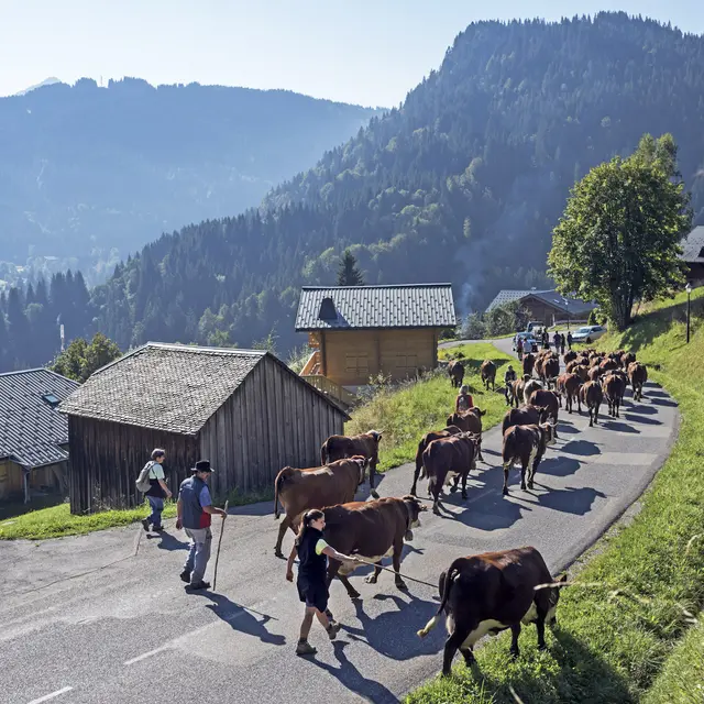 Démmontagnée dans le Géoparc du Chablais