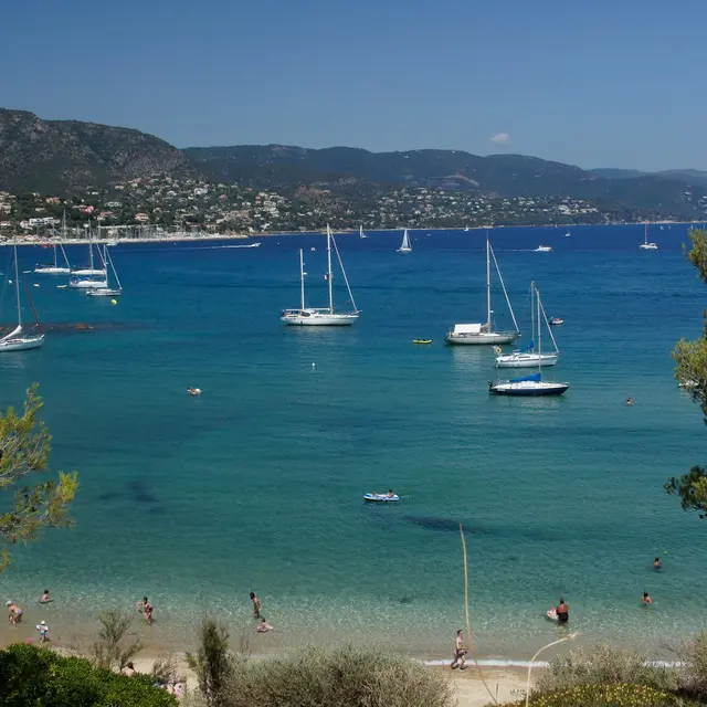 Journée Groupes Le Lavandou et Bormes Les mimosas, grain de sable et de mimosa