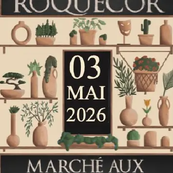 Marché aux fleurs et potiers_Roquecor