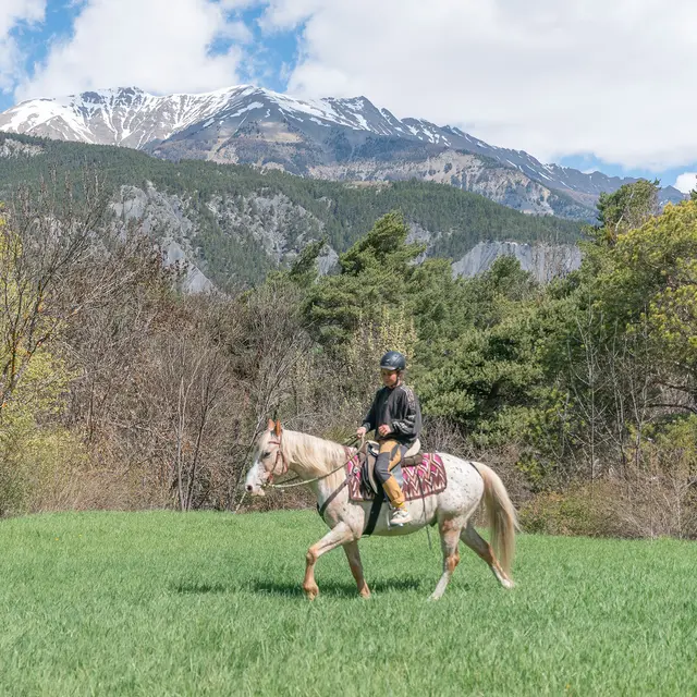Ubaye à Cheval