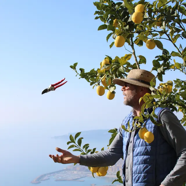 92ème Fête du Citron® - Maison Gannac - Visite libre du verger_Menton