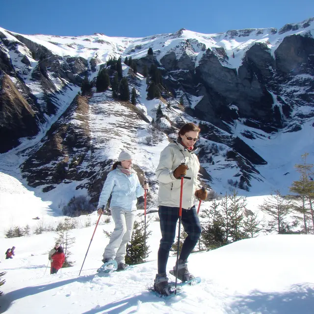 Sortie raquettes Le cirque grandiose - voir des chamois_Combloux