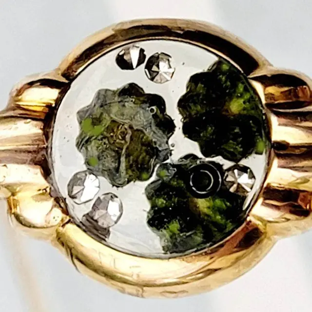 Montre upcyclée avec végétaux