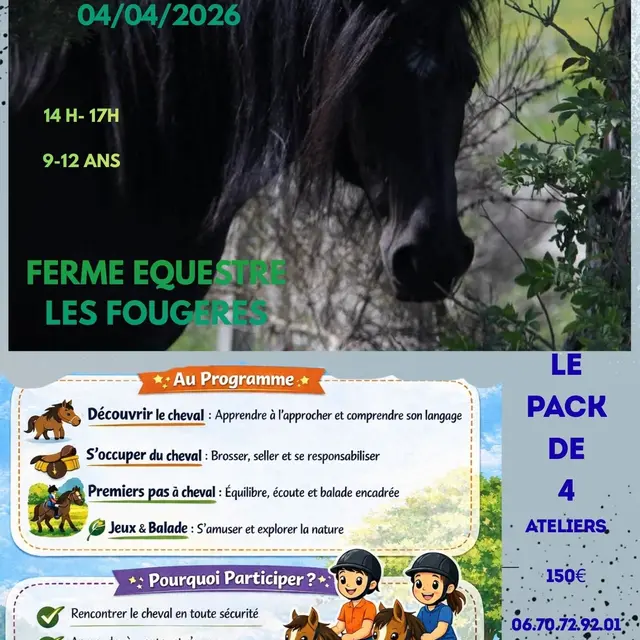 Les ateliers de la Ferme équestre Les Fougères_Usson-en-Forez