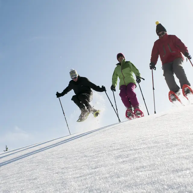 Séjour Raquettes échaillon