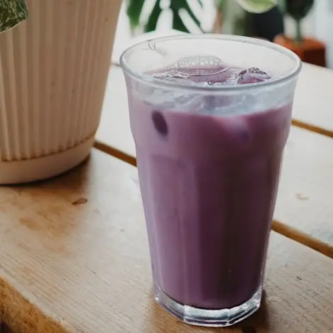 Folie(s) Végétales 2026 - Atelier découverte de l'ube_Thonon-les-Bains