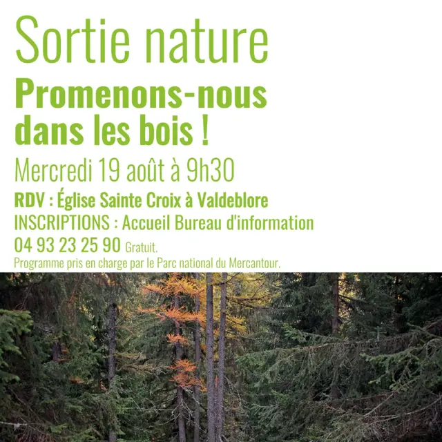 Promenons-nous dans les bois !_Valdeblore