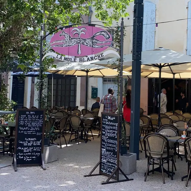 La mule Blanche Arles