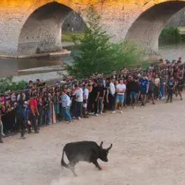 Feria - Encierro_Alès