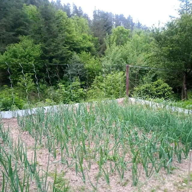 La Ferme des Petites Fougères