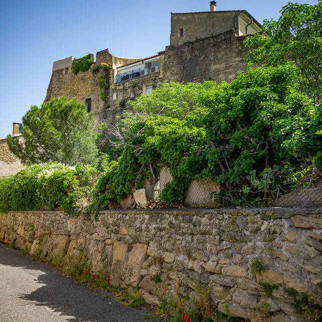 Expositions_Entraigues-sur-la-Sorgue