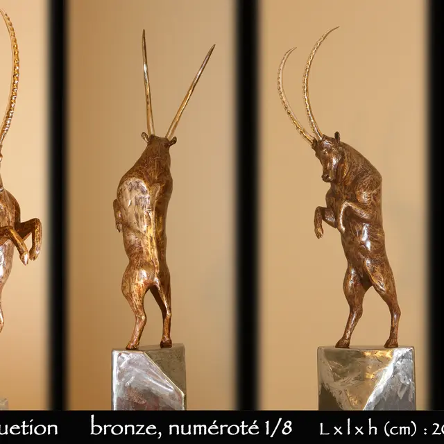 Exposition de sculptures sur bronze par Fabrice Dal'Secco_Samoëns