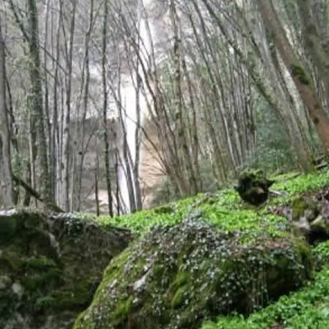 Cascade du Furet