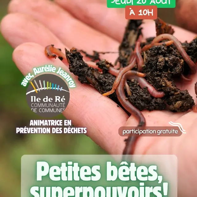 Petites Bêtes, Superpouvoirs !_La Couarde-sur-Mer