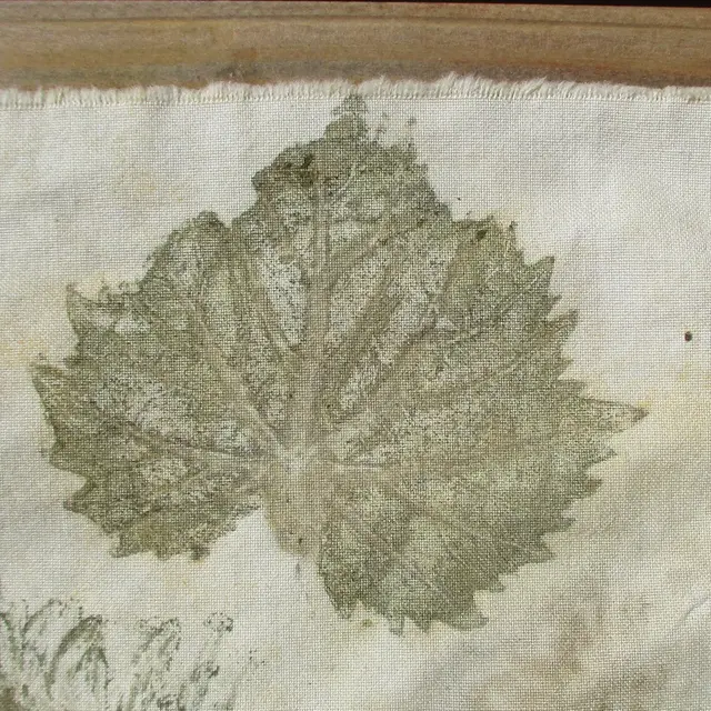 Atelier - Tanins et empreintes végétales_Le Beausset