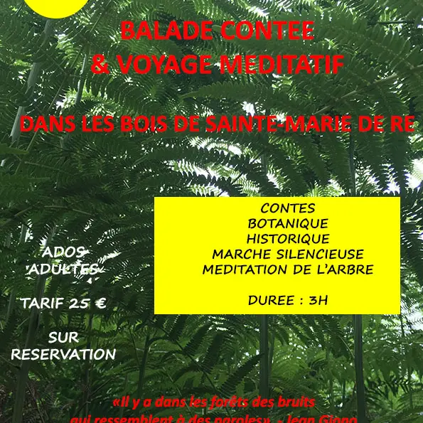 Balade contée et voyage méditatif dans les bois de Sainte-Marie de Ré