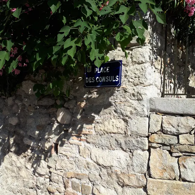 Plaque place des Consuls