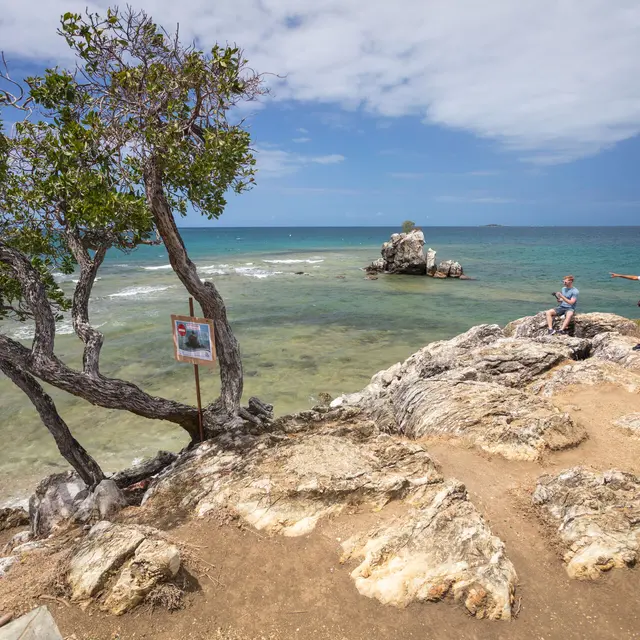 Tour guidé de Nouméa - Malo Transports_Nouméa