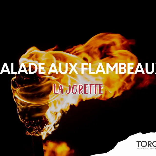 Balade aux flambeaux_Torgon