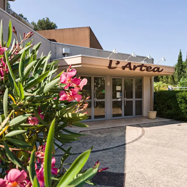 artea