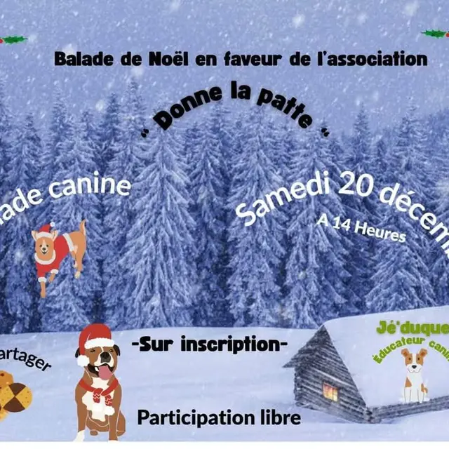 Balade canine dans les gorges de pereille pour l'association  donne la patte_Péreille