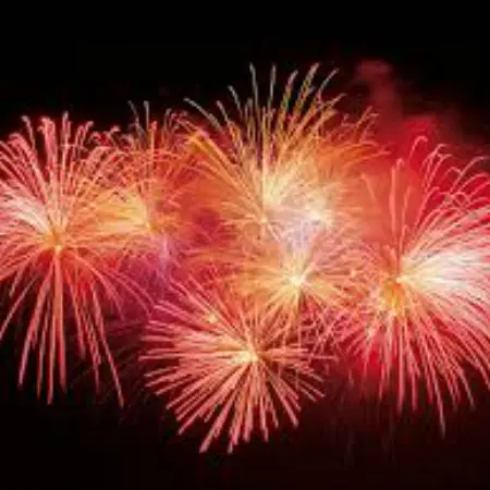 EVE_Fête d'été Sembadel_feux d'artifice