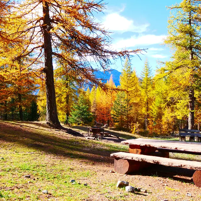 Aire de Pique Nique du Bois de Sestrières_Montgenèvre